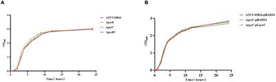 The Role of the Two-Component QseBC Signaling System in Biofilm Formation and Virulence of Hypervirulent Klebsiella pneumoniae ATCC43816